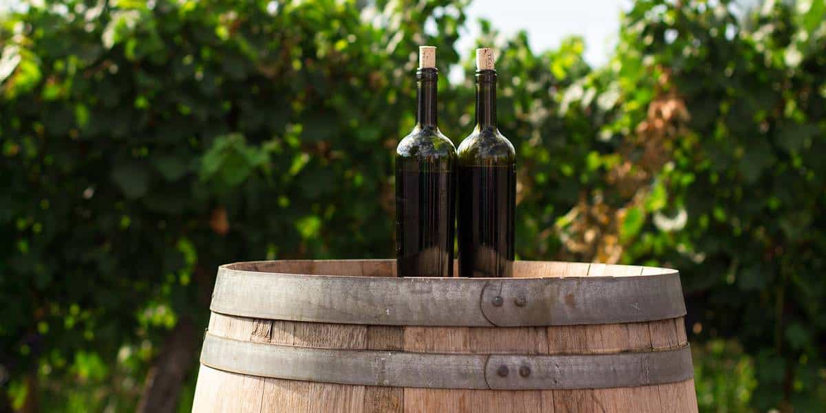 Best of Wine Tourism tem sete premiados portugueses