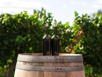 Best of Wine Tourism tem sete premiados portugueses