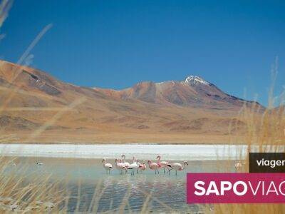Pelo Altiplano andino: lagoas, flamingos, geiseres e uma piscina termal ao cair da noite - Mundo